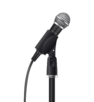 Guess the Sound